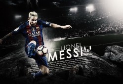 掘金得到冠军后卫，掘金有没有夺冠？