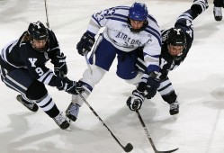 青岛cba赛程？cba青岛队官网？